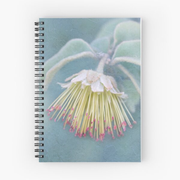 Aperçu de l'œuvre Pimelea aux fleurs sauvages d'Australie créée et vendue par cschester4.