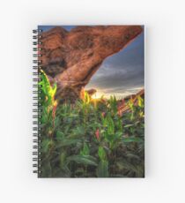 Overhang Spiral Notebook