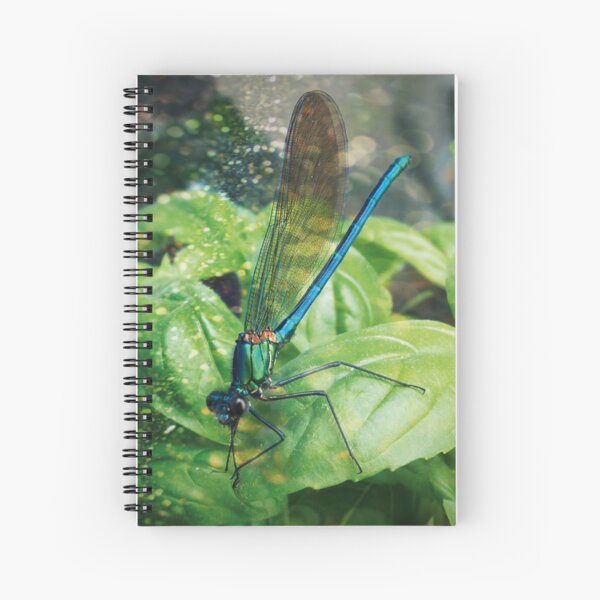 Libellule Cahier à spirale