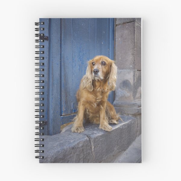 Item preview, Longing Spaniel - Cusco, Peru designed and sold by Emily Mogic.