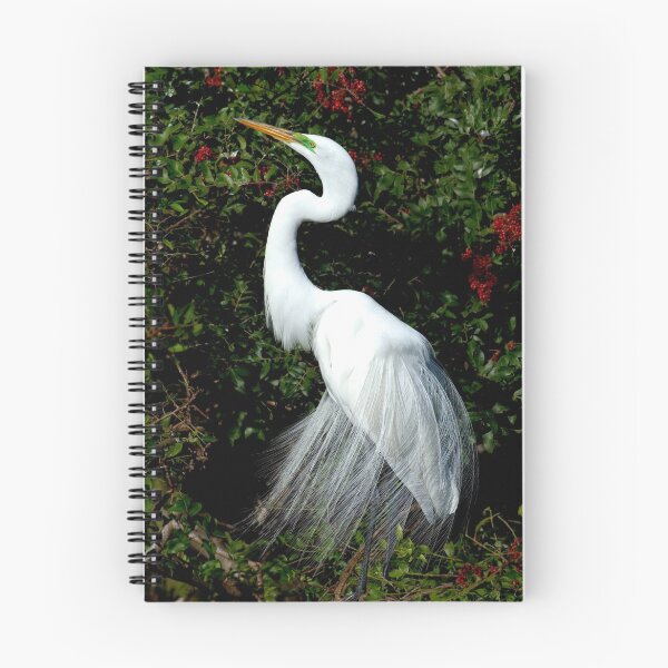 Item preview, Great Egret in Breeding Plummage designed and sold by Frank Bibbins.
