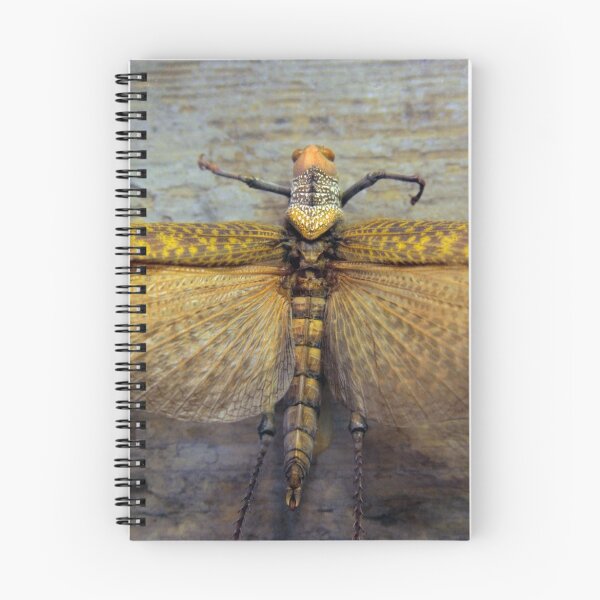 Item preview, Hocus Locust designed and sold by SuddenJim.