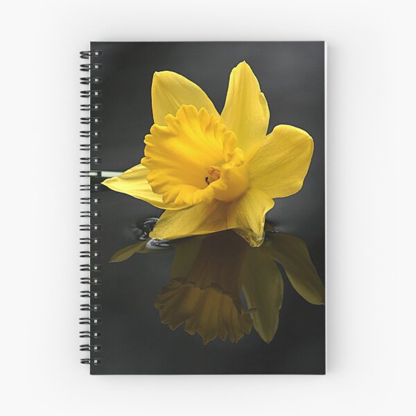 Item preview, Daffodil head designed and sold by Doug McRae.