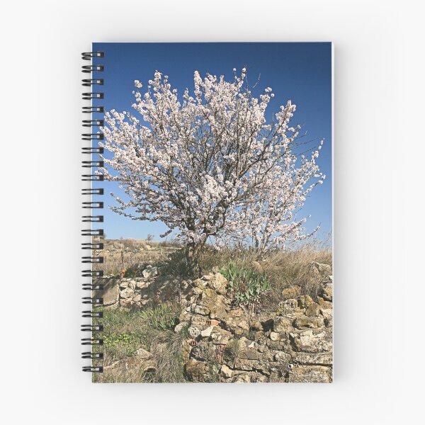 Item preview, Stone wall and Almond blossom Capestang France designed and sold by Paul Pasco.