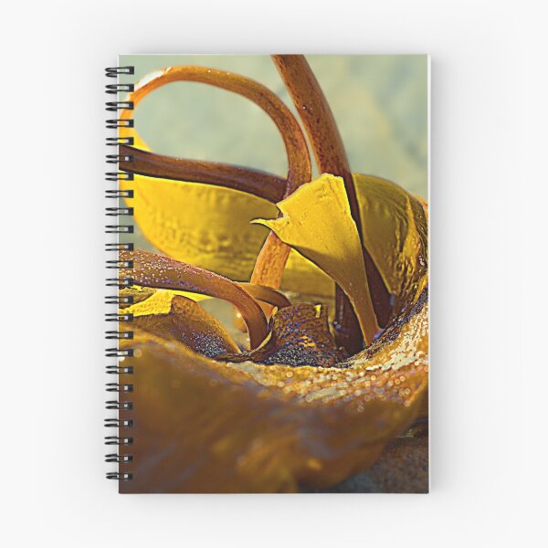 Item preview, Bouquet of Kelp designed and sold by Winksy.