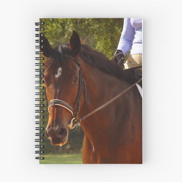 Artikelvorschau, Dressage Class - entworfen und verkauft von May Lattanzio.