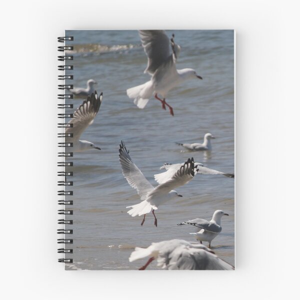 Item preview, Seagulls Liftoff! designed and sold by Amy Dee.