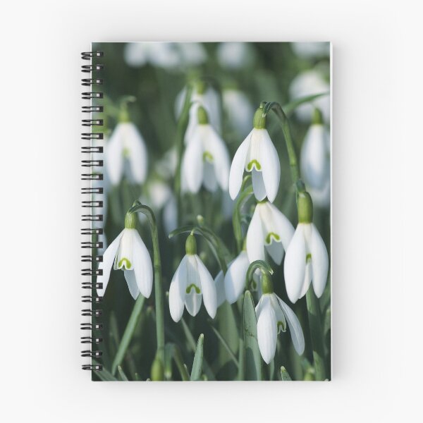 Item preview, Snowdrop designed and sold by AnthonyThomas.