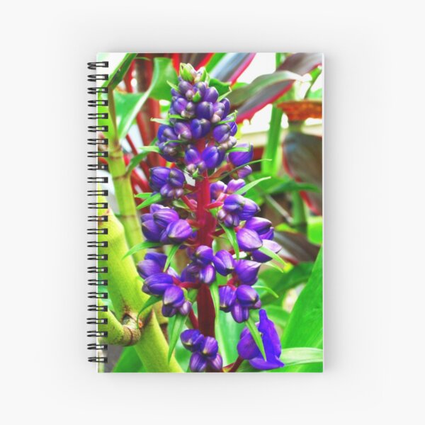 voilet Spiral Notebook