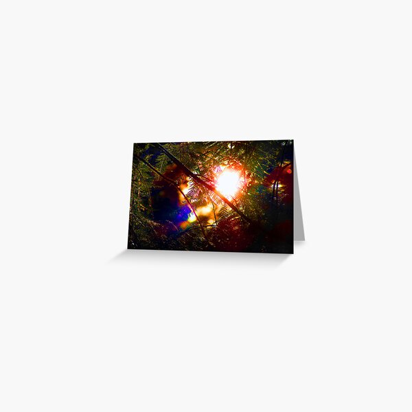Evergreen rainbow Greeting Card