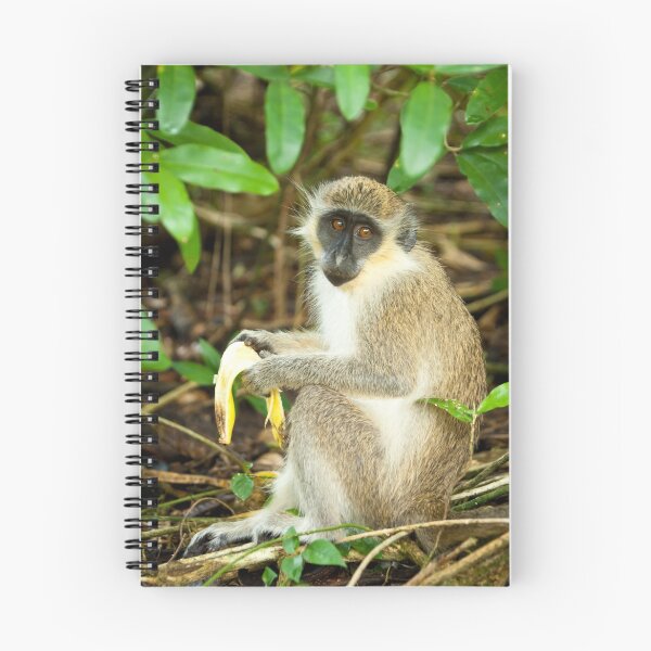 Item preview, Monkey 1 designed and sold by Jacinthe Brault.