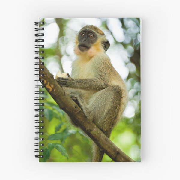 Item preview, Monkey 2 designed and sold by Jacinthe Brault.