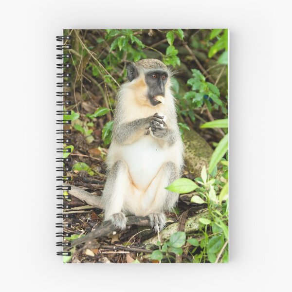 Item preview, Monkey 3 designed and sold by Jacinthe Brault.