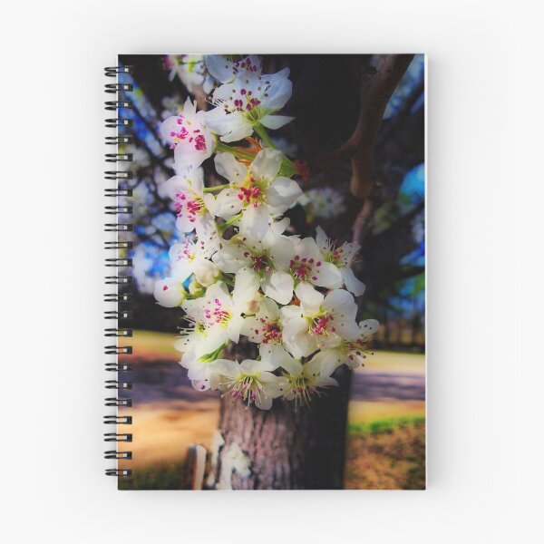 Item preview, Bradford Pear Blossoms - HDR designed and sold by Julie Conway.