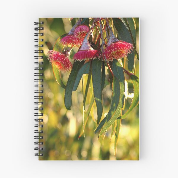 Artikelvorschau, eucalypt blossom entworfen und verkauft von Cheryl Ribeiro.