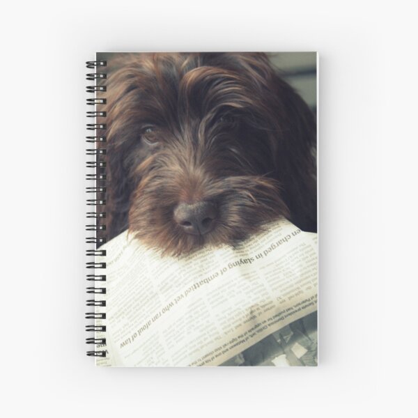 Can you pass the Op-ed page please? Spiral Notebook