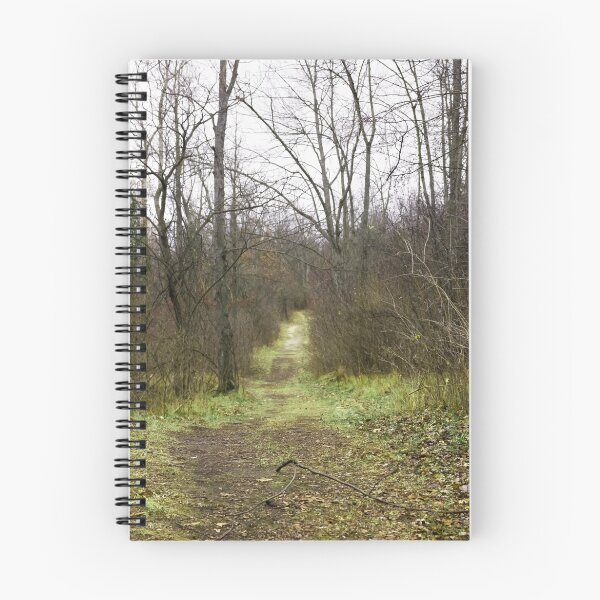 Item preview, Lonley Walk designed and sold by ksarko.