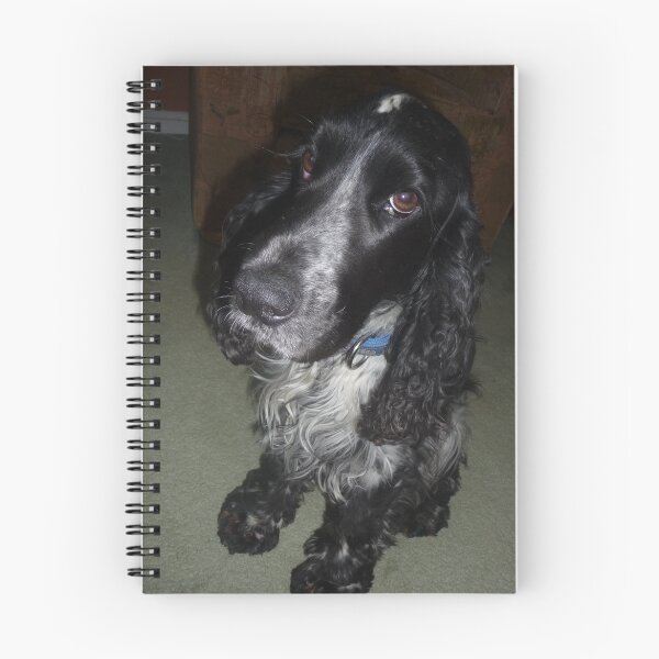 Item preview, Handsome Boy designed and sold by Laura-Jane Shepherd.