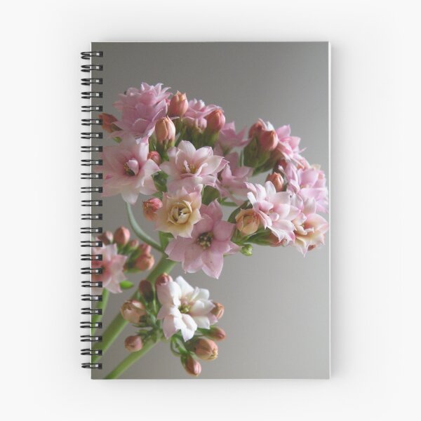 Item preview, kalanchoe....... designed and sold by cieloverde.