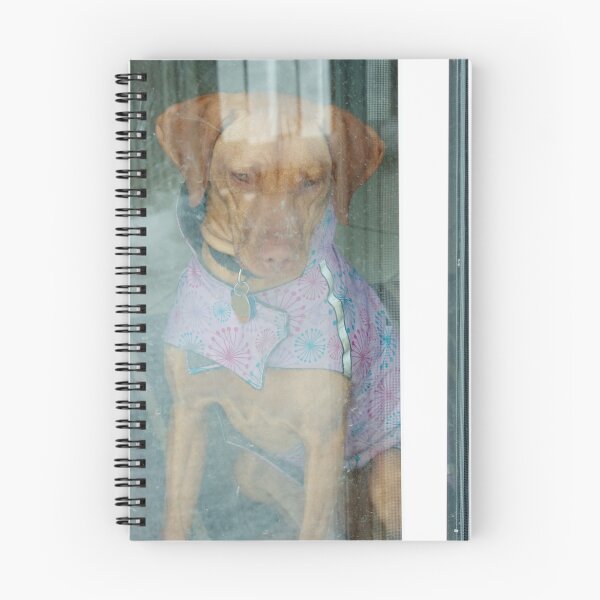 Item preview, Outside Is More Fun... designed and sold by Jessica Dzupina.
