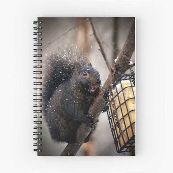 Item preview, It's MINE!!  All MINE!! designed and sold by Lois  Bryan.