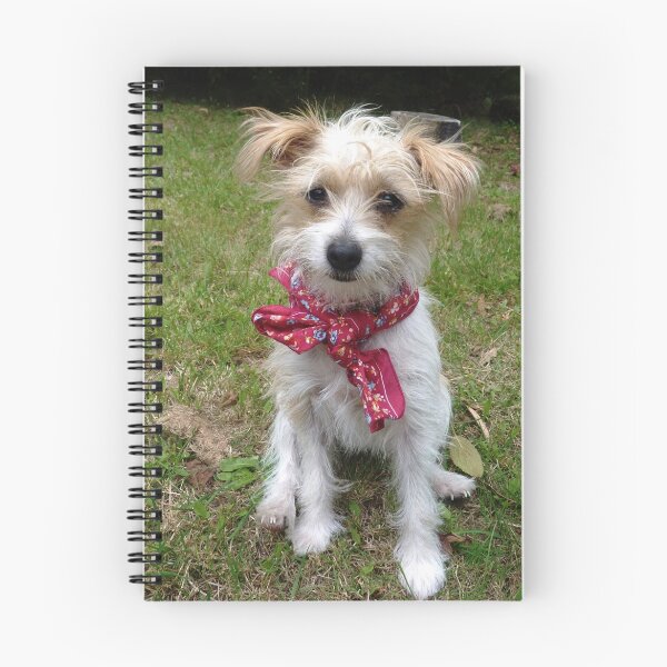 Item preview,  mi pequeño "rescate" designed and sold by Meg Hart.