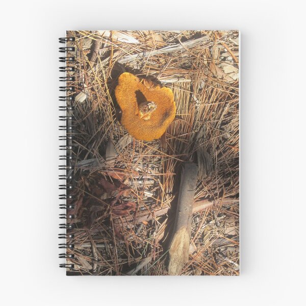 Item preview, Autumn debris designed and sold by Maggie Hegarty.