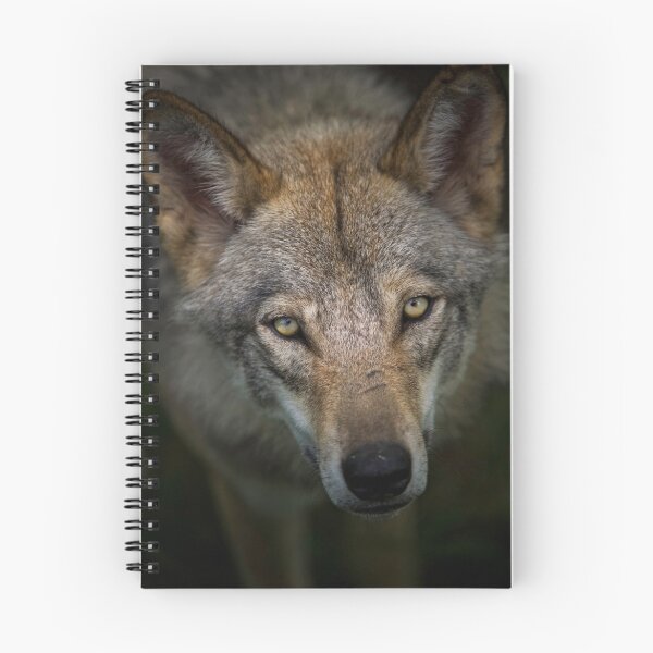 Item preview, Sinister Appeal designed and sold by Daniel  Parent.