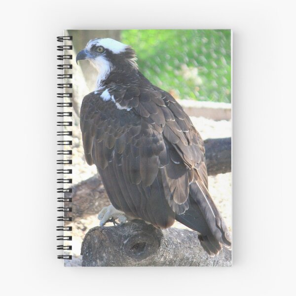 Item preview, Osprey designed and sold by AuntDot.