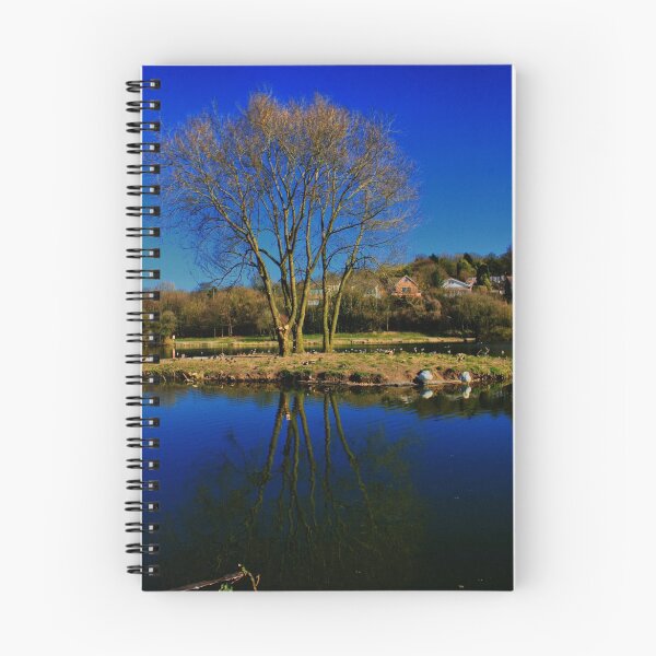 Item preview, Capstone Lake  designed and sold by larry flewers.