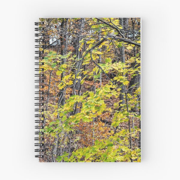 Item preview, The Hill is alive with colour  designed and sold by SRosuphotos.