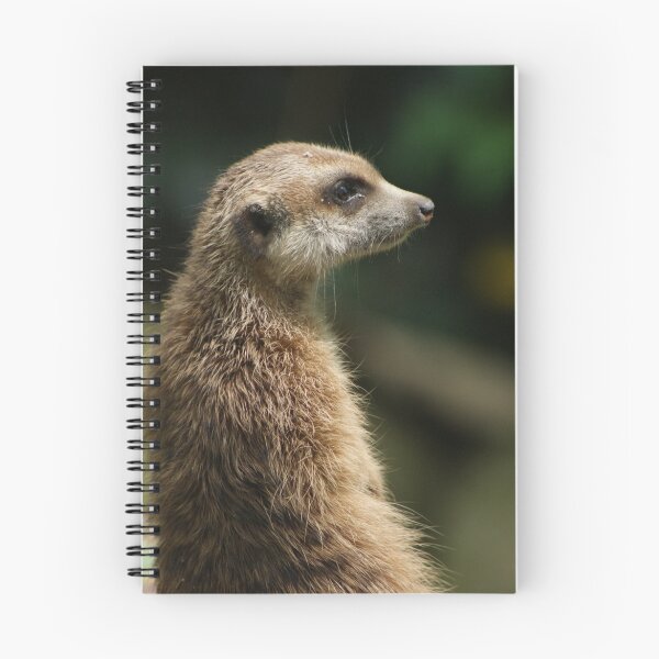 Item preview, Comparing Meerkats at Singapore Zoo designed and sold by Chris Cherry.