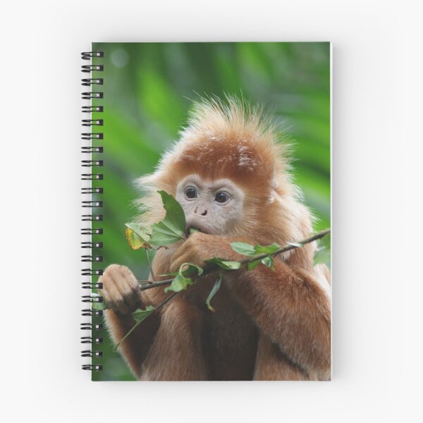 Item preview, Monkey at Singapore Zoo designed and sold by Chris Cherry.