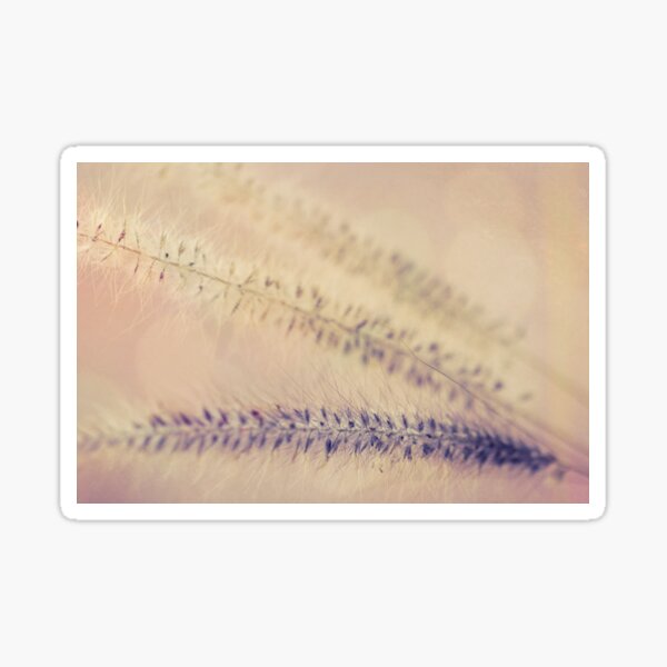 Nature II Sticker