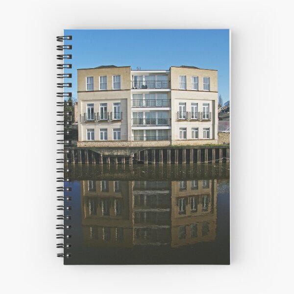 Aperçu de l'œuvre Reflection créée et vendue par Samuel  Dodd.