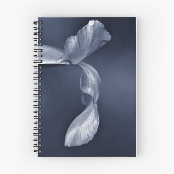 Item preview, Ballerina Petal designed and sold by Christopher Meder Photography.