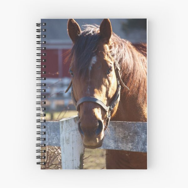Item preview, Ritz Cafe designed and sold by ctgponies.