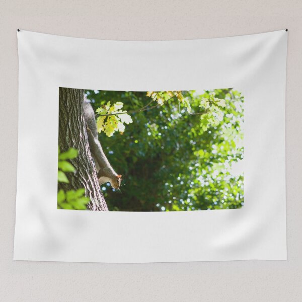 Item preview, squirrel  designed and sold by KimmiDallimore.