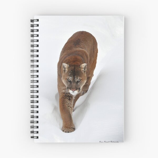 Item preview, Cougar designed and sold by Nancy Barrett.