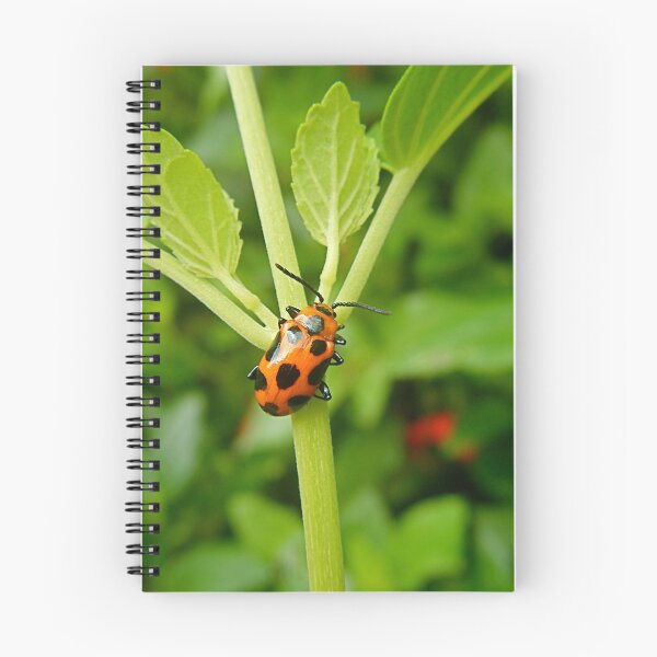 Item preview, A Bug's Life. designed and sold by Gabrielle  Hope.
