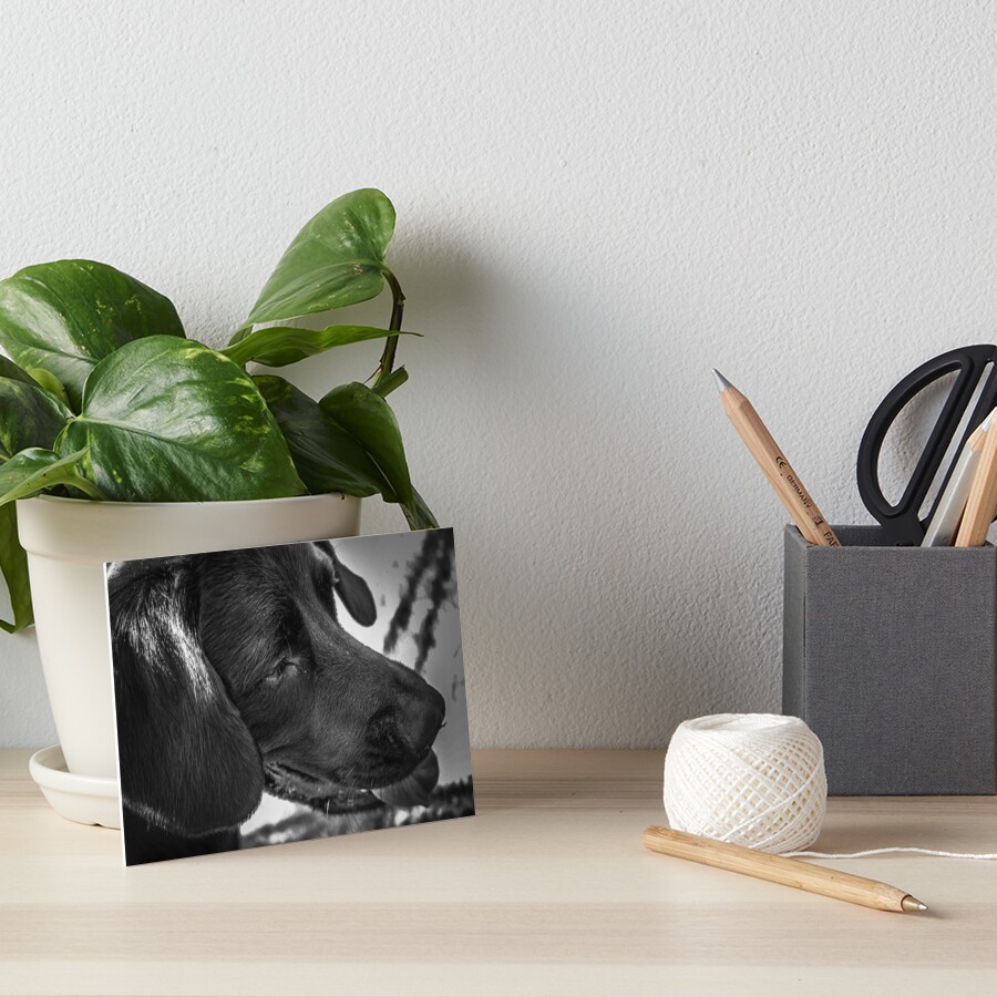 Item preview, Art Board Print designed and sold by LC23.