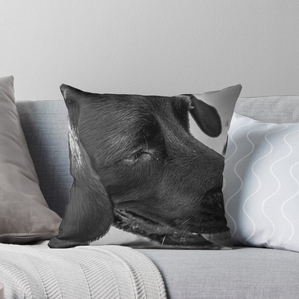 Item preview, Throw Pillow designed and sold by LC23.