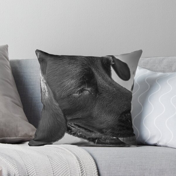 Item preview, Springador designed and sold by Louise  Corr.
