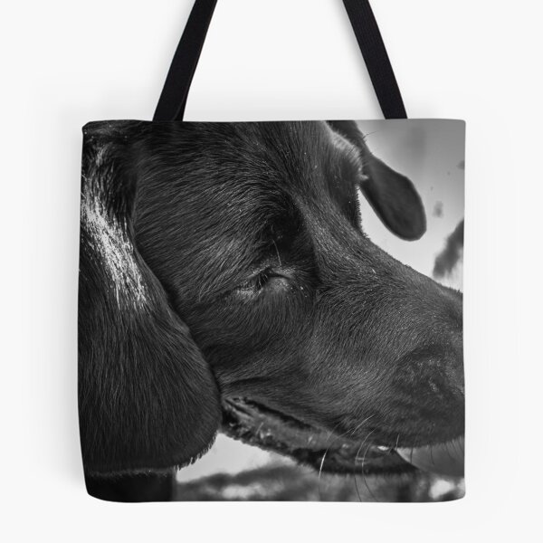 Item preview, Springador designed and sold by Louise  Corr.