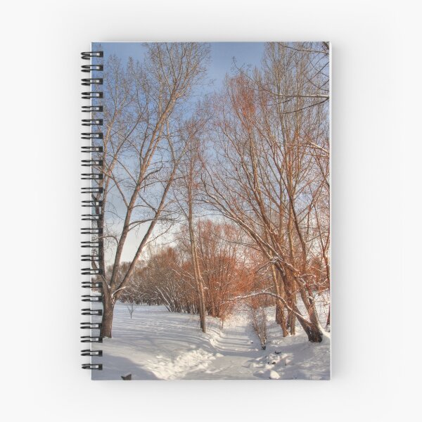 Item preview, Frozen creek designed and sold by zumi.