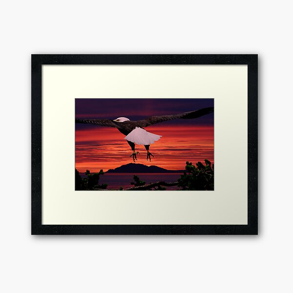 Into the Sunset Framed Art Print
