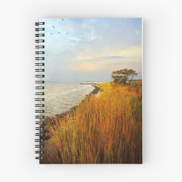 Item preview, Morning has broken designed and sold by John Rivera.