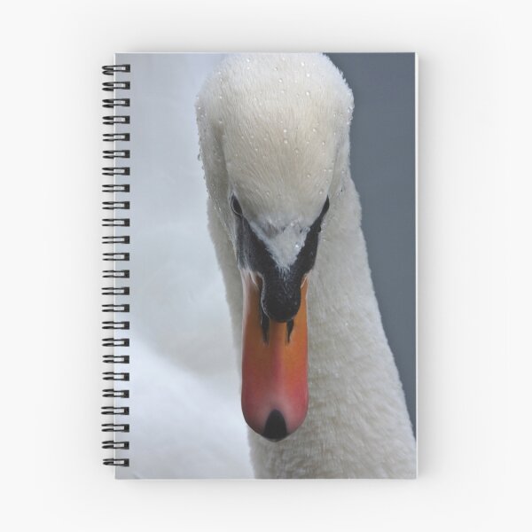Item preview, "Here's looking at you" designed and sold by manndee.