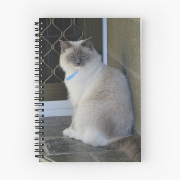 Item preview, My Cat Rag Doll-Chloe designed and sold by PaulWJewell.