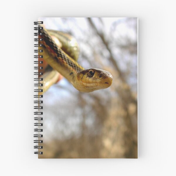 Item preview, Early Spring Arrival designed and sold by Carla Wick/Jandelle Petters.